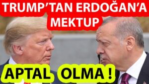 rahmi 13 11 2020