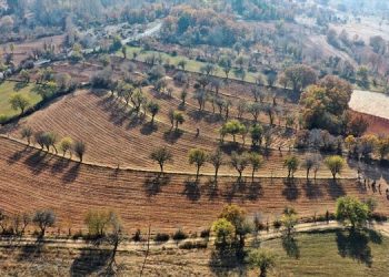 Mansur Yavaş’ın kırsal kalkınma hamlesi devam ediyor