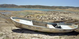 tuketici haklari dernegi 00