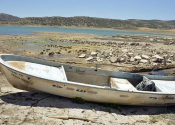 tuketici haklari dernegi 00