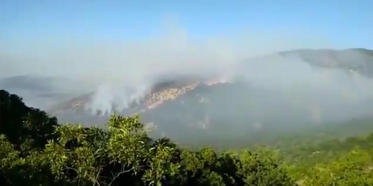tunceli yangin 28 08 2021