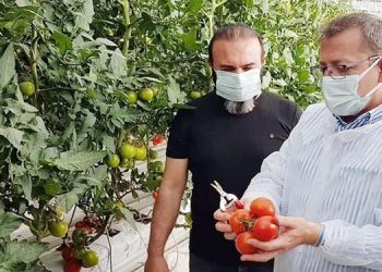 yozgat vali ziya polat 00