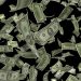 para dolar karapara pixabay