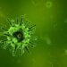 covid korona yesil