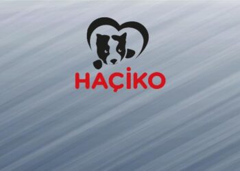 haciko logo