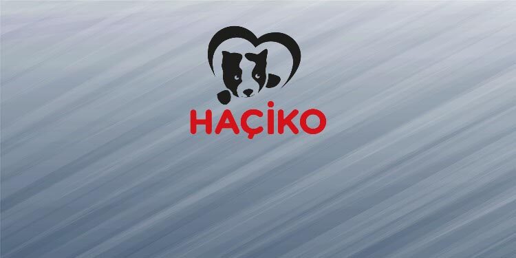 haciko logo
