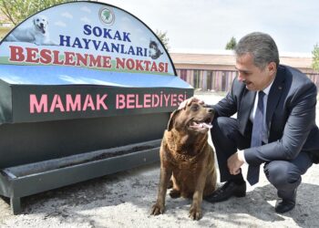 mamak belediye baskani murat kose