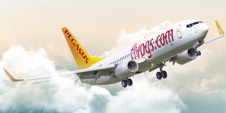 pegasus