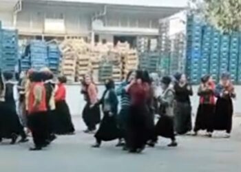 tarsus mersin hal emekcileri