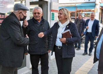 neslihan hancioglu chp