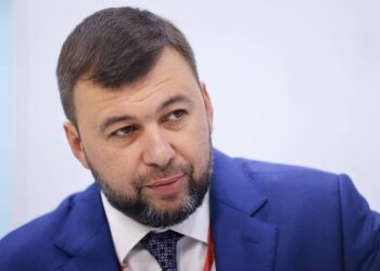 denis pushilin