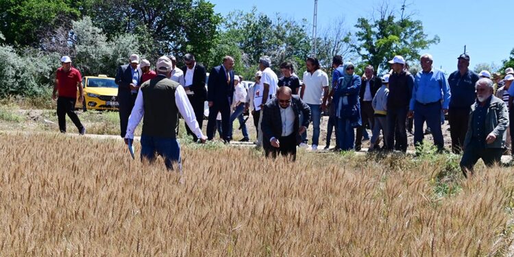 yozgat tarla gunu