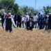 yozgat tarla gunu