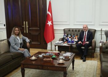 suleyman soylu gokcen enc