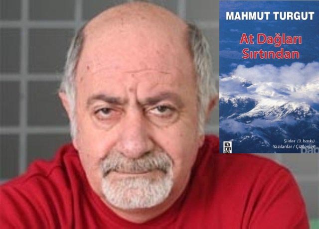 mahmut turgut