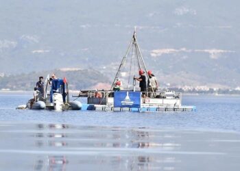izmir fay hatlari 00