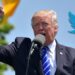 Elon Musk, Trump’ın Twitter yasağını kaldıracak