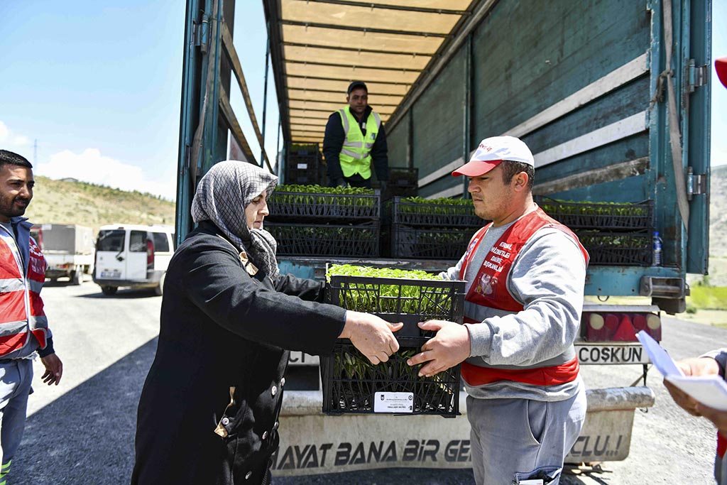 beypazari anfa serasi 03