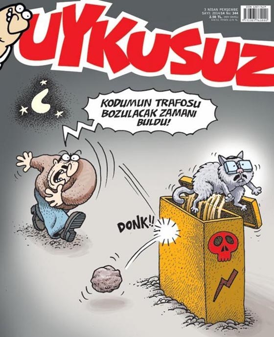 uykusuz kedi 01