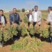 Harran Ovası alternatif ürünlerin merkezi olacak