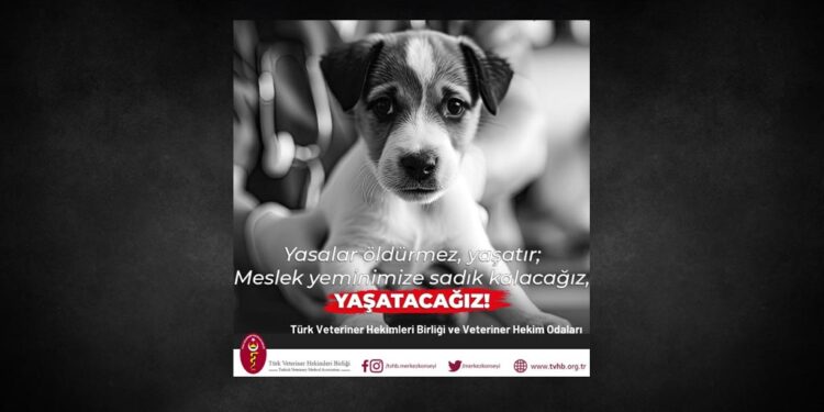 veteriner hekimleri birligi hayvan haklari 00