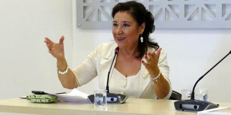 Nursun Erel