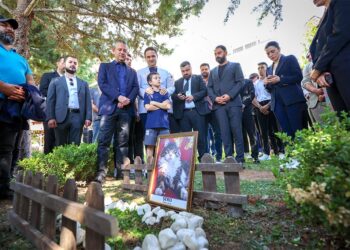 CHP’nin kedisi Şero öldü