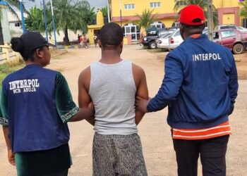 INTERPOL’ün siber suçlar operasyonunda 5.500 gözaltı