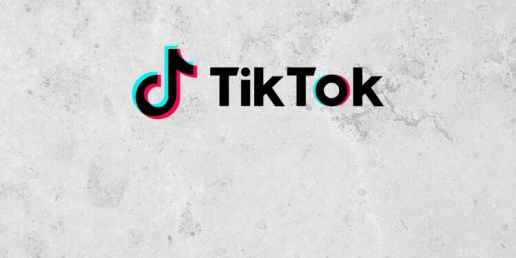 TikTok’a 530 milyon avro para cezası