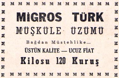 ercument 03 07 2026
